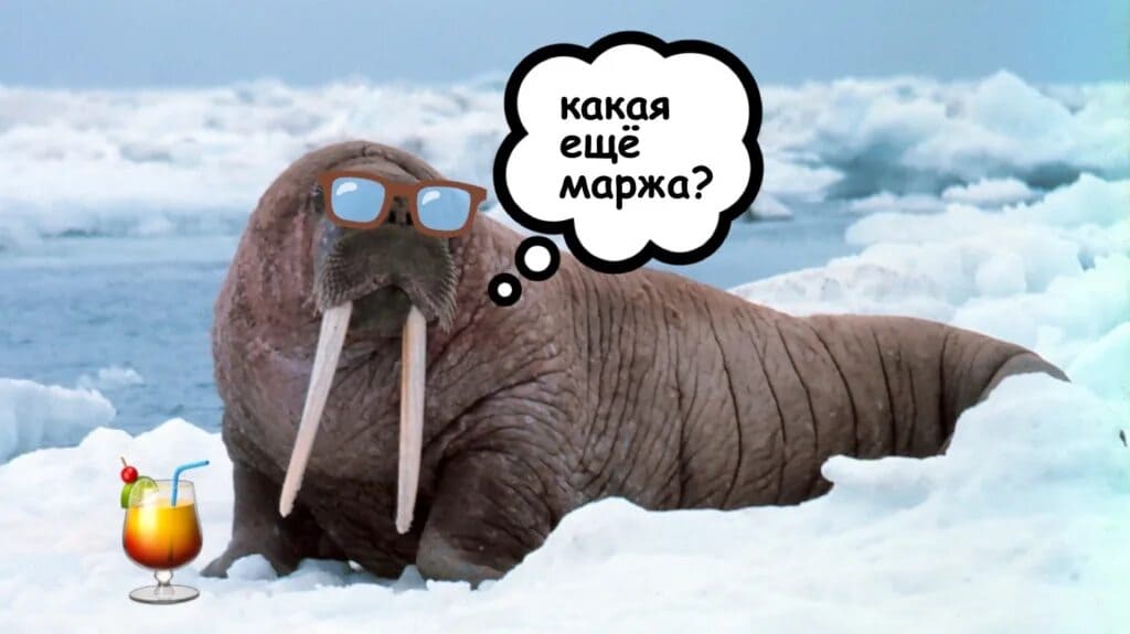 какая еще моржа?